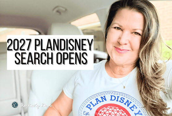 2027 plandisney serach opens