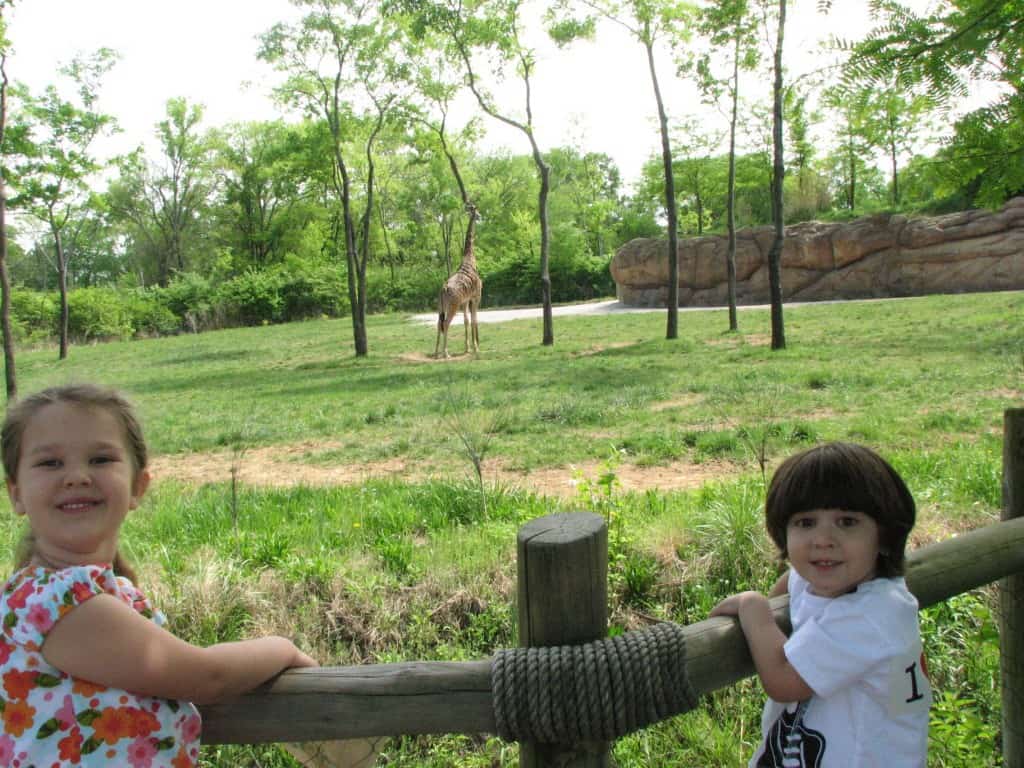 Nashville-Zoo-giraffe-habitat