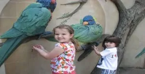 nashville-zoo-birds-kids