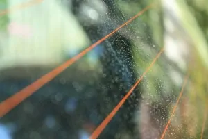 car-window-rain