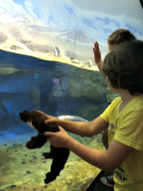 Aquarium-Otter-Britton