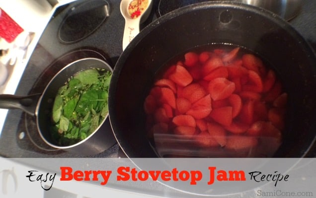 easy berry stovetop jam recipe
