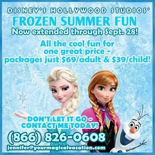 Disney Frozen Summer Fun packages