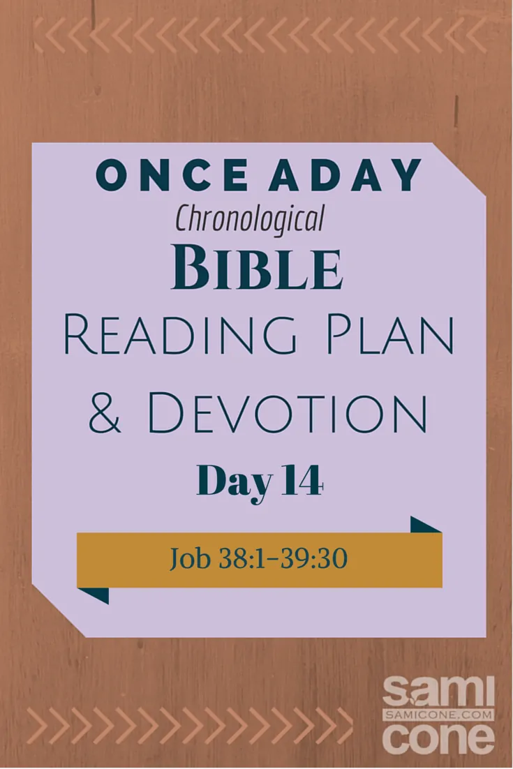 Once A Day Bible Reading Plan & Devotion Day 14