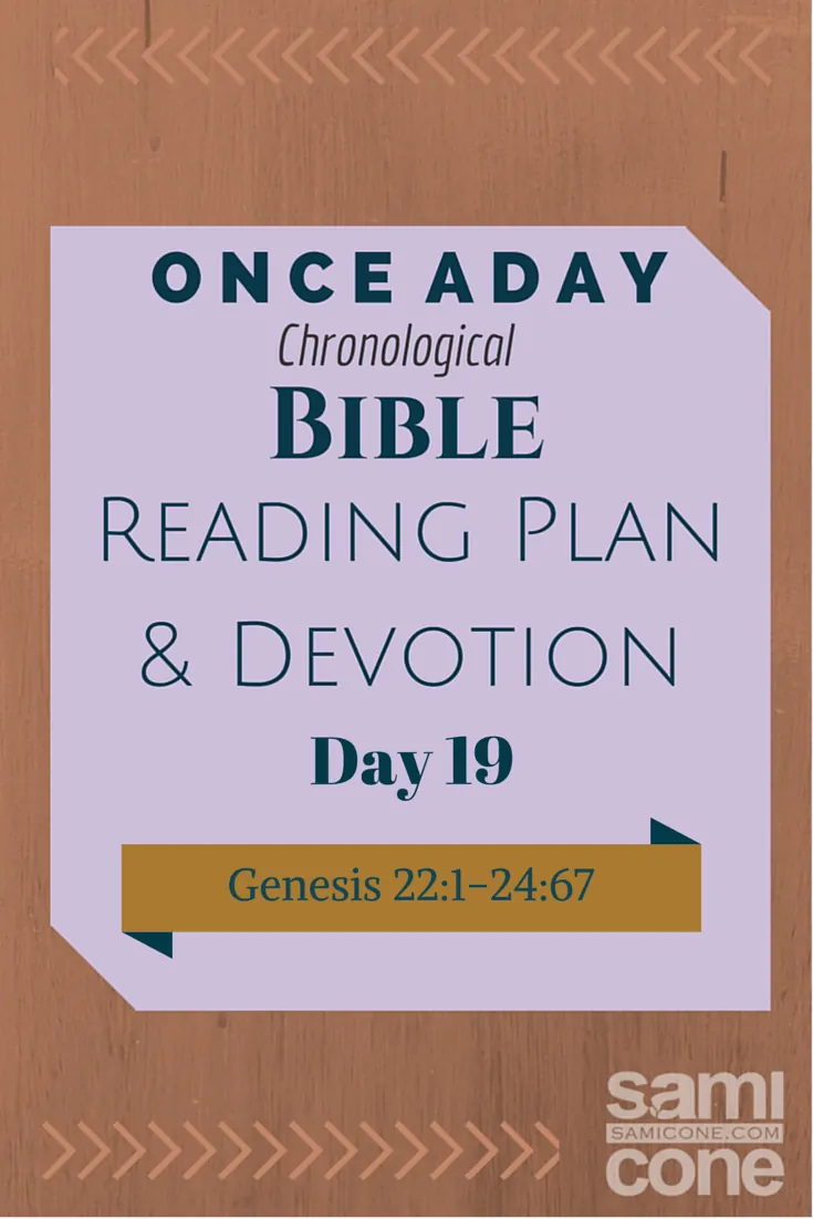 Once A Day Bible Reading Plan & Devotion Day 19