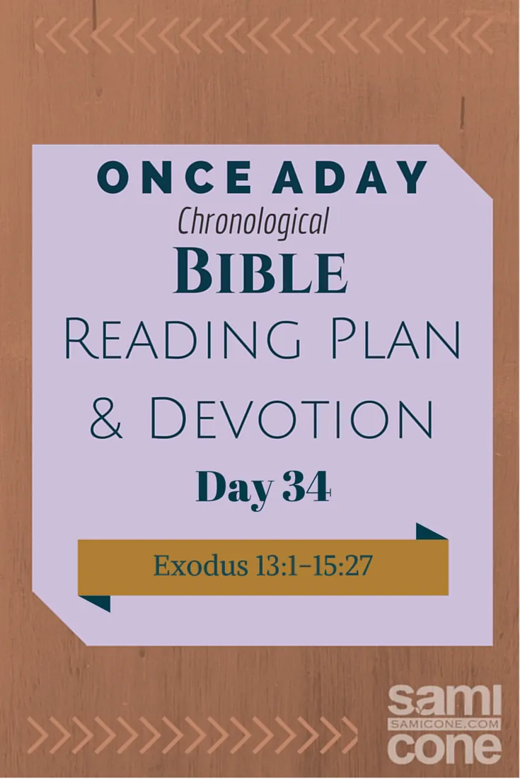 Once A Day Bible Reading Plan & Devotion Day 34