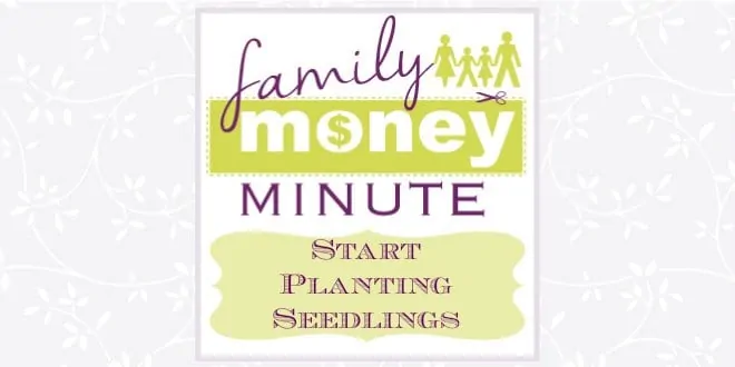 Start Planting Seedlings