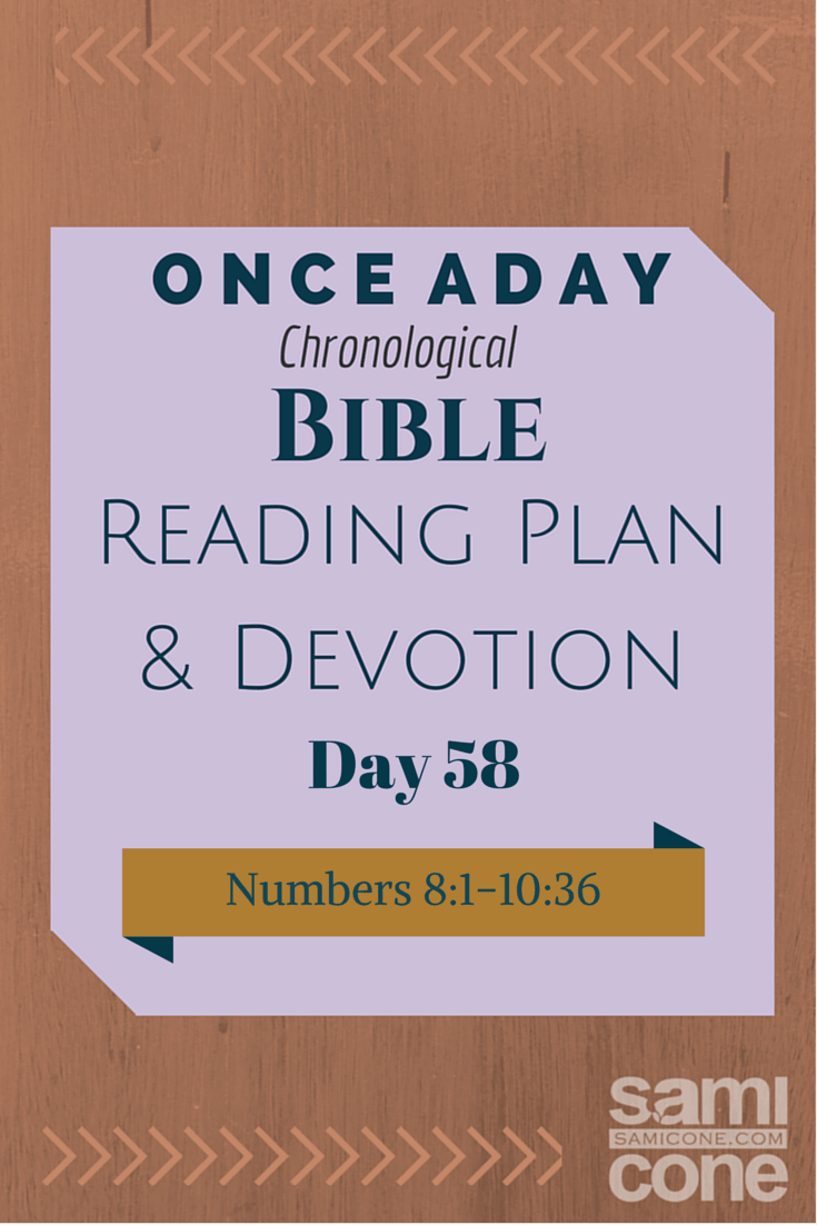 Once A Day Bible Reading Plan & Devotion Day 58