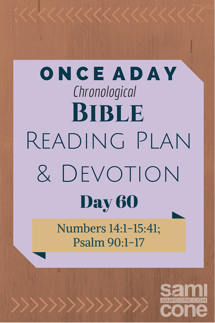 Once A Day Bible Reading Plan & Devotion Day 60