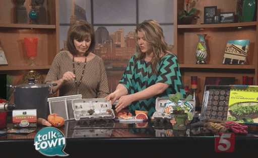 Budget Gardening Composting-Talk-of-the-Town