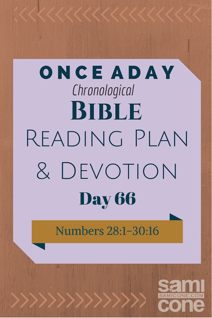 Once A Day Bible Reading Plan & Devotion Day 66