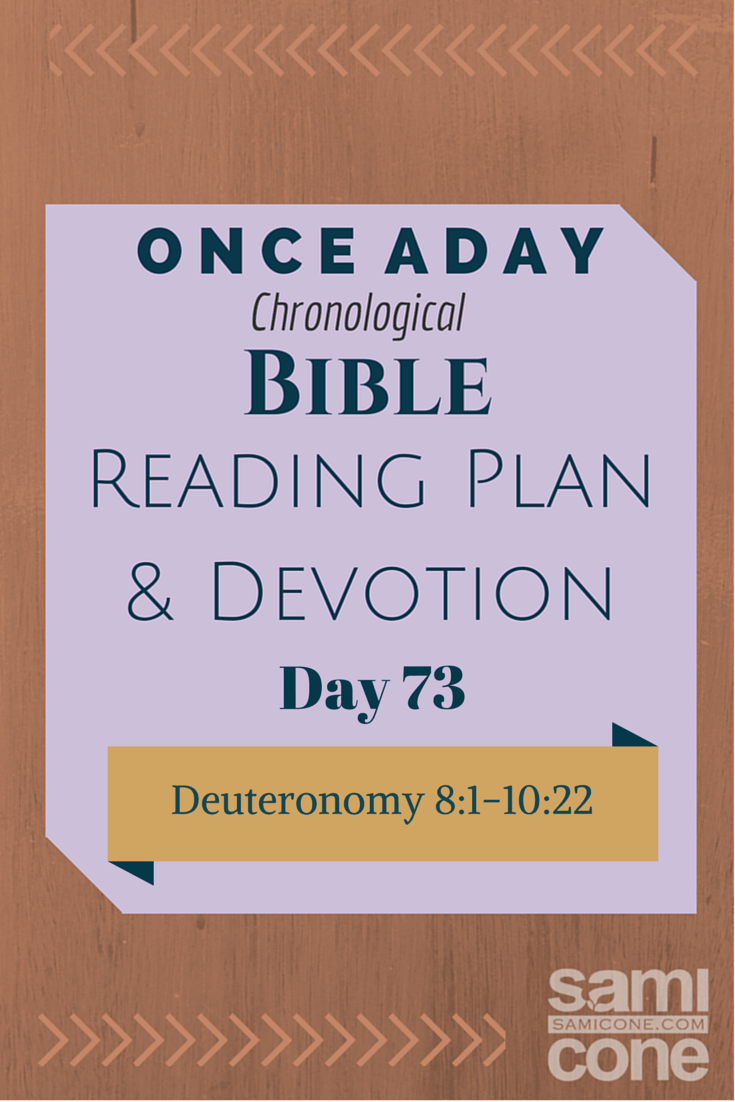 Once A Day Bible Reading Plan & Devotion Day 73