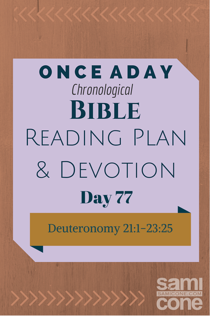 Once A Day Bible Reading Plan & Devotion Day 77