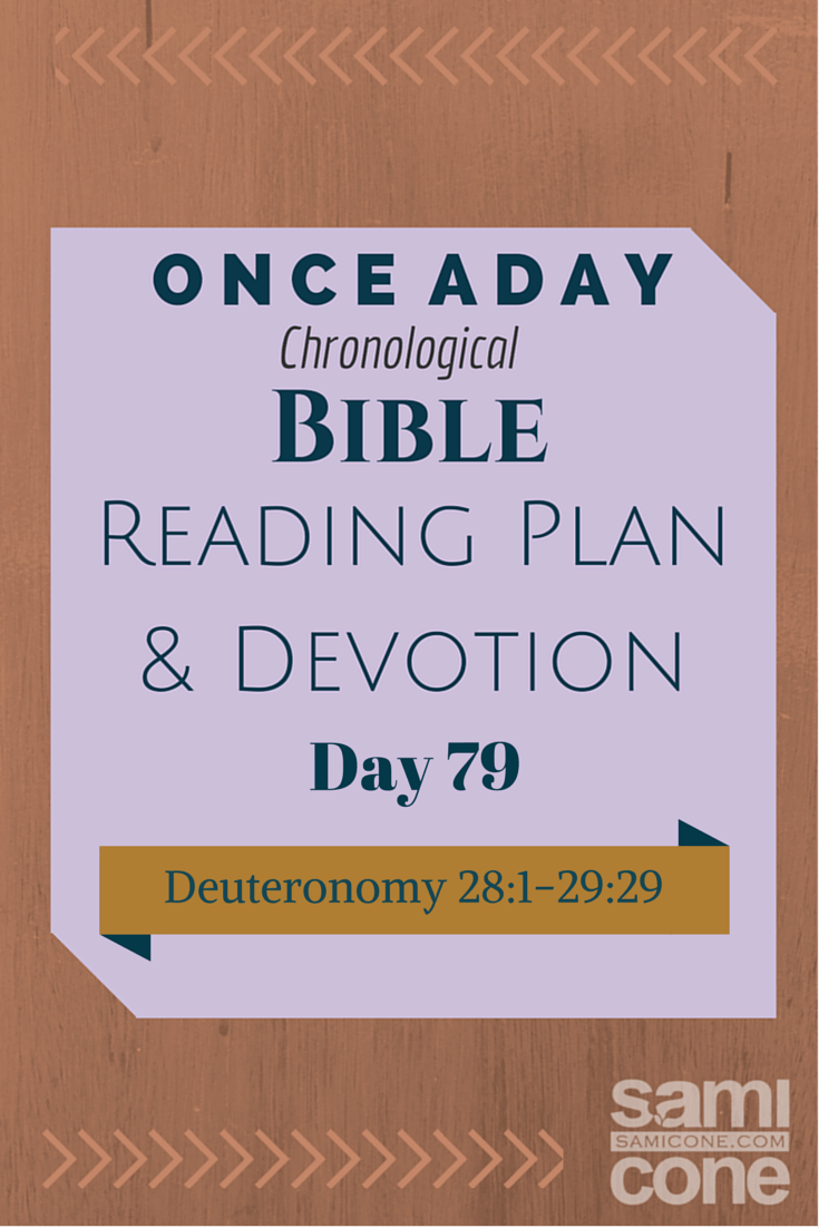 Once A Day Bible Reading Plan & Devotion Day 79
