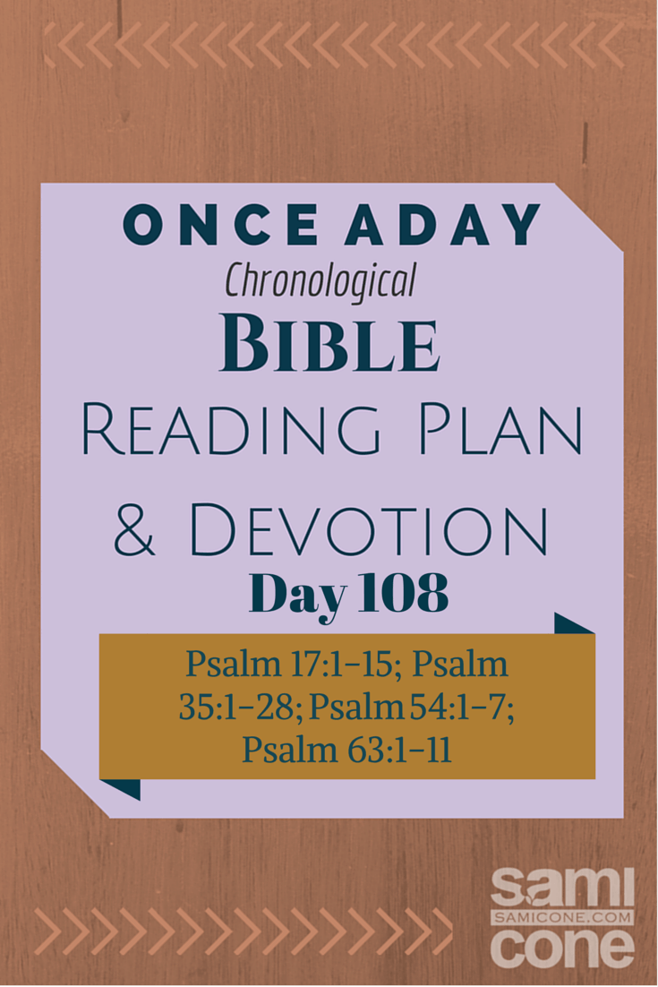 Once A Day Bible Reading Plan & Devotion Day 108