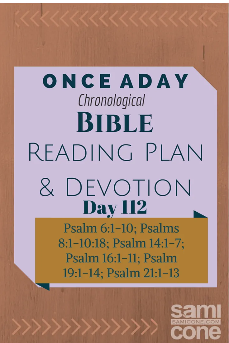 Once A Day Bible Reading Plan & Devotion Day 112