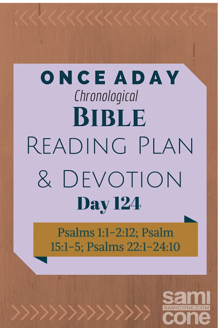 Once A Day Bible Reading Plan & Devotion Day 124