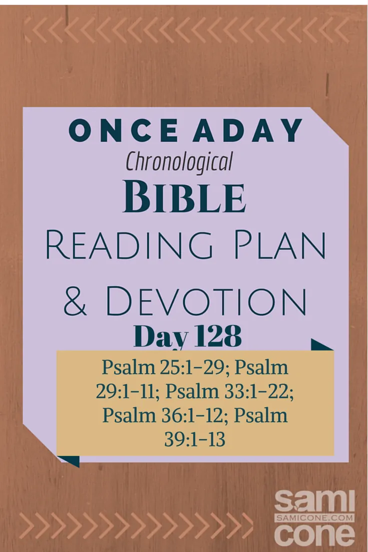 Once A Day Bible Reading Plan & Devotion Day 128