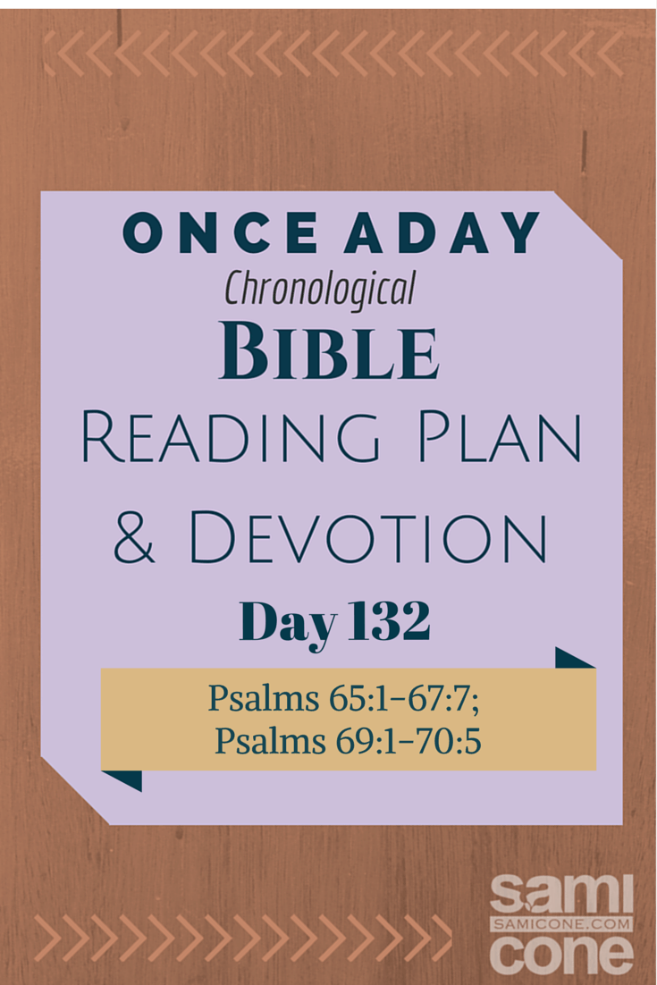 Once A Day Bible Reading Plan & Devotion Day 132