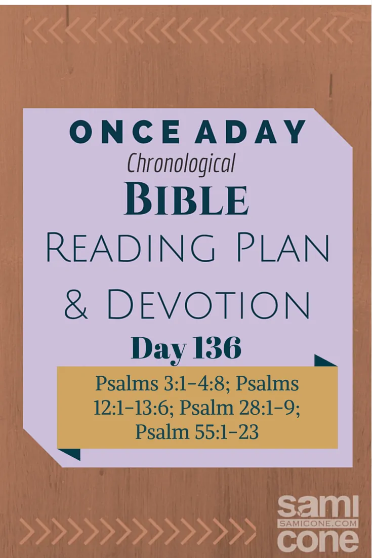Once A Day Bible Reading Plan & Devotion Day 136
