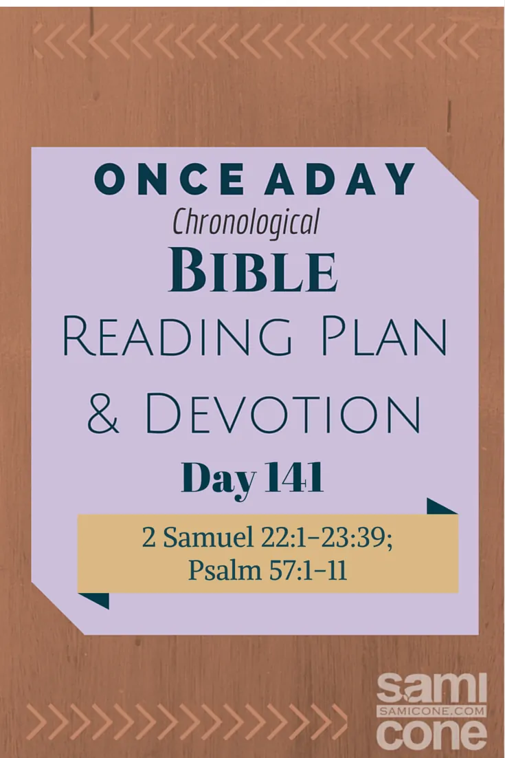 Once A Day Bible Reading Plan & Devotion Day 141