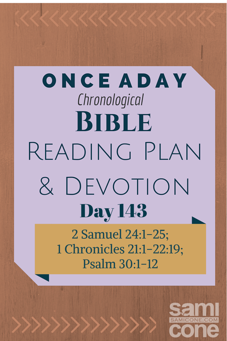 Once A Day Bible Reading Plan & Devotion Day 143