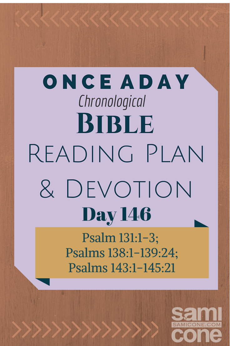 Once A Day Bible Reading Plan & Devotion Day 146
