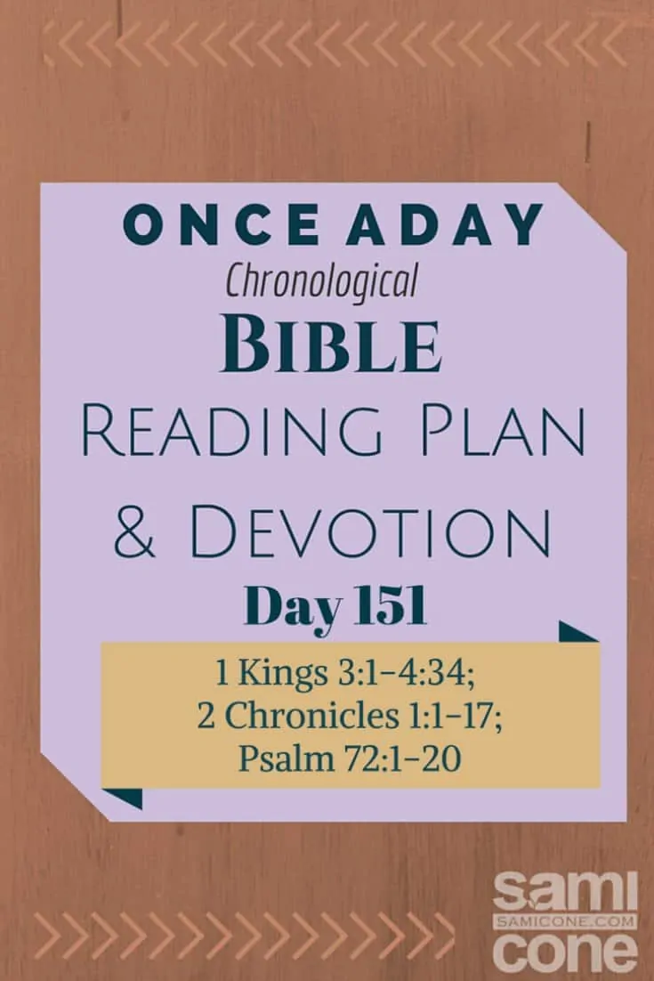 Once A Day Bible Reading Plan & Devotion Day 151