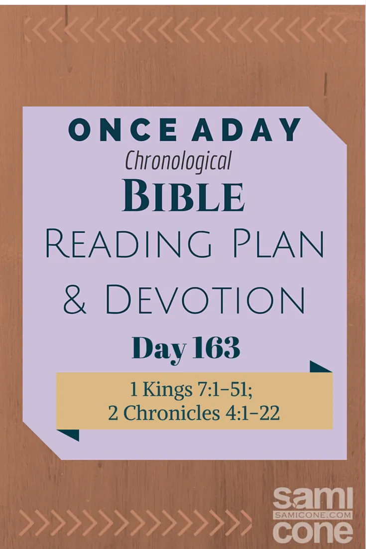 Once A Day Bible Reading Plan & Devotion Day 163