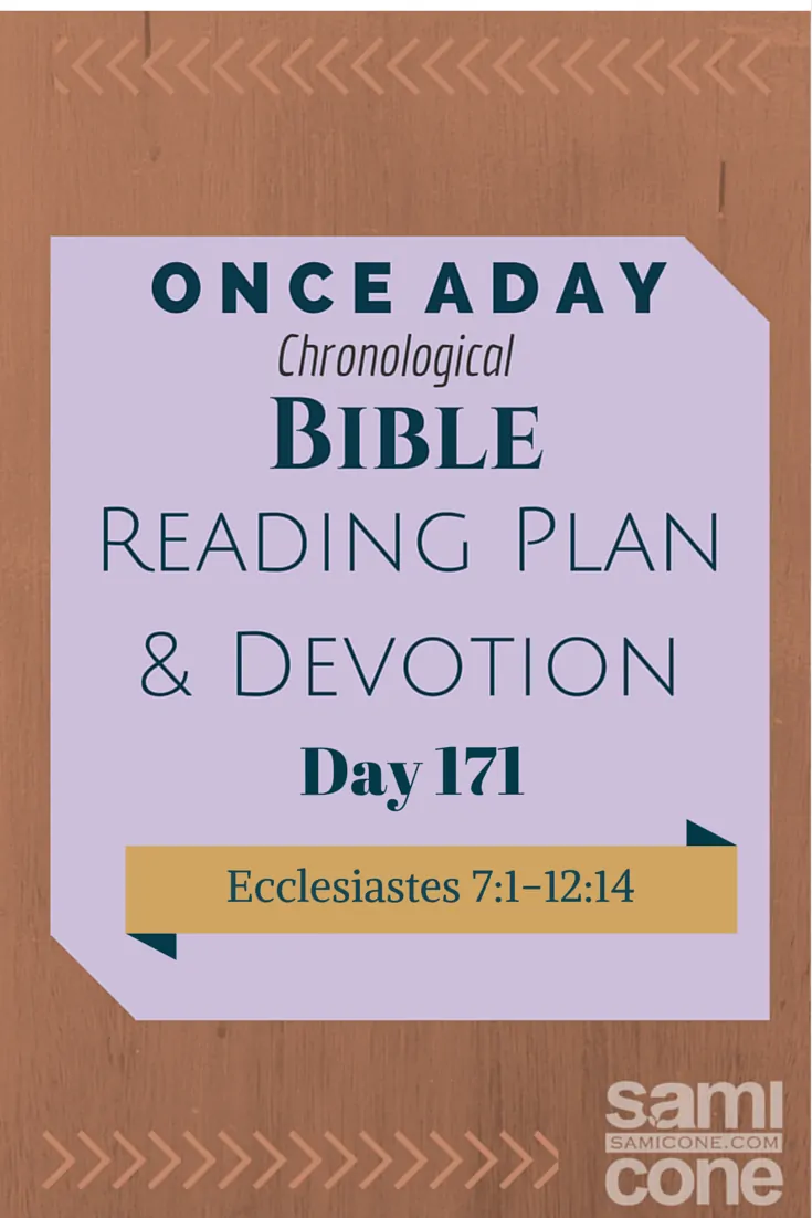 Once A Day Bible Reading Plan & Devotion Day 171