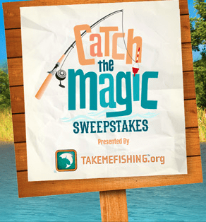 disney catch the magic sweepstakes