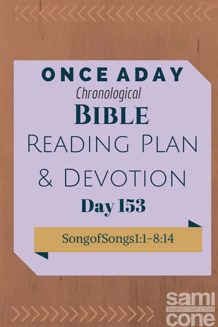 Once A Day Bible Reading Plan & Devotion Day 153