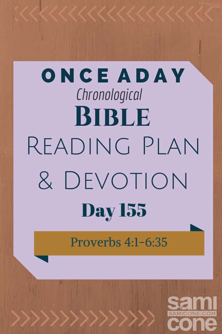 Once A Day Bible Reading Plan & Devotion Day 155