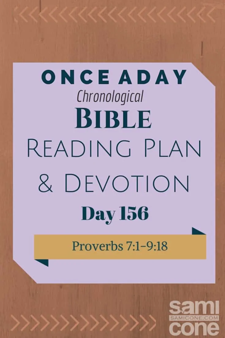 Once A Day Bible Reading Plan & Devotion Day 156