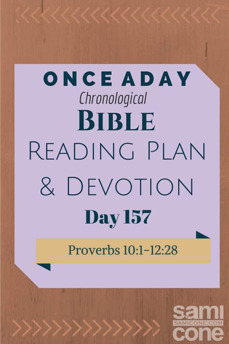 Once A Day Bible Reading Plan & Devotion Day 157