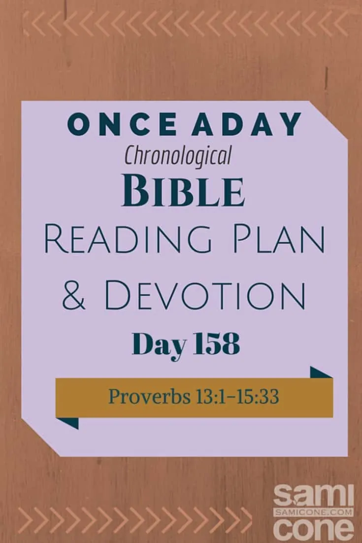 Once A Day Bible Reading Plan & Devotion Day 158