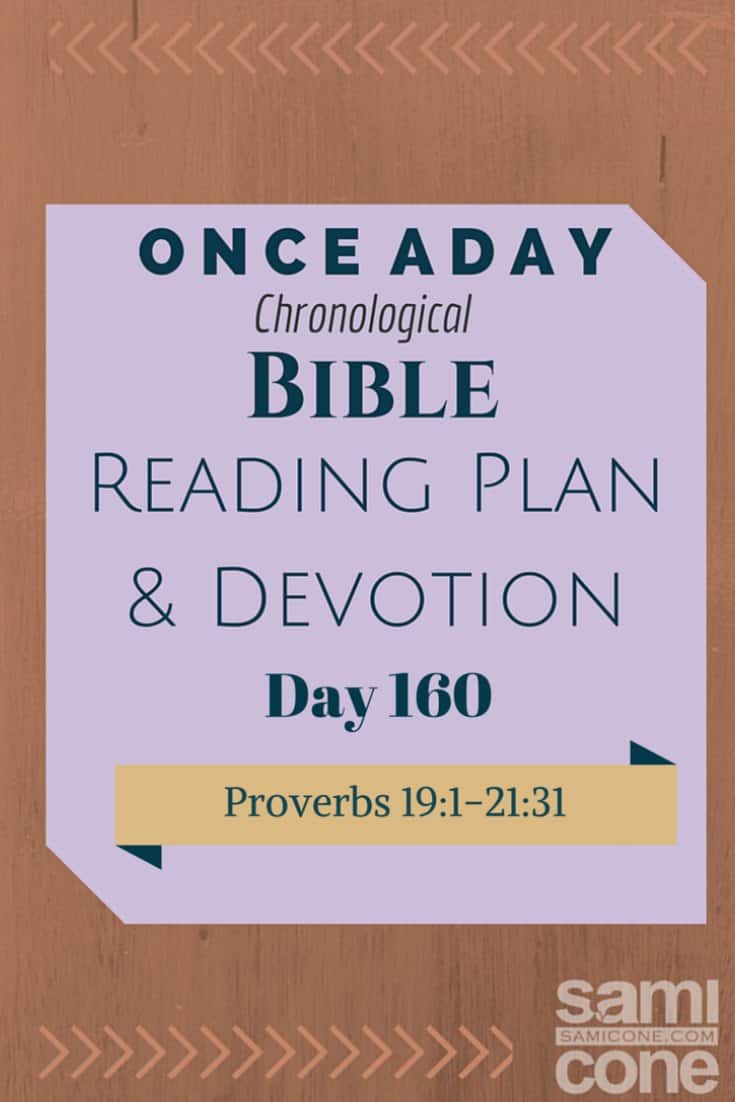 Once A Day Bible Reading Plan & Devotion Day 160