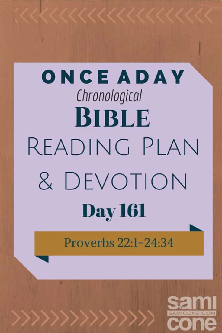Once A Day Bible Reading Plan & Devotion Day 161