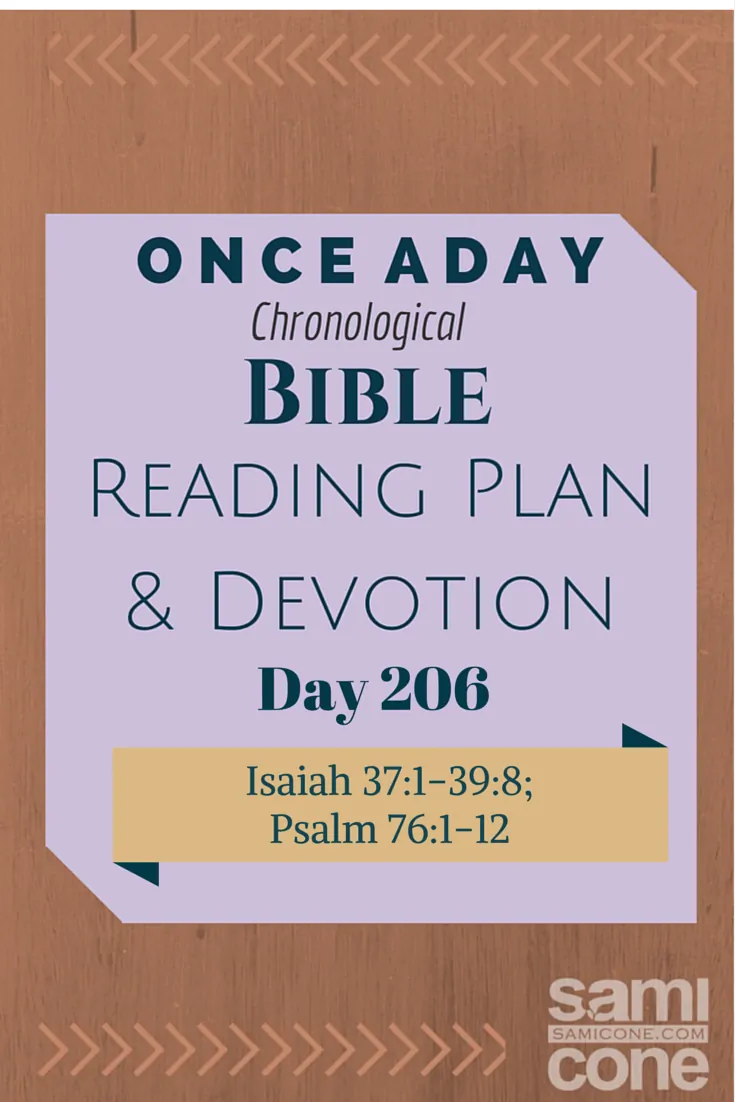 Once A Day Bible Reading Plan & Devotion Day 206