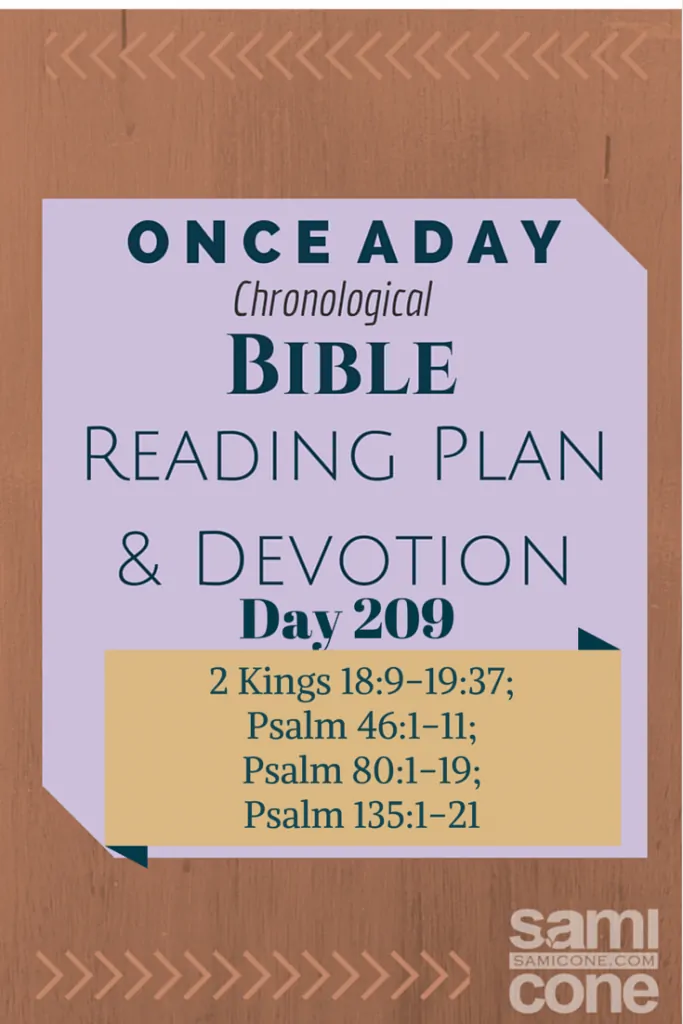 Once A Day Bible Reading Plan & Devotion Day 209