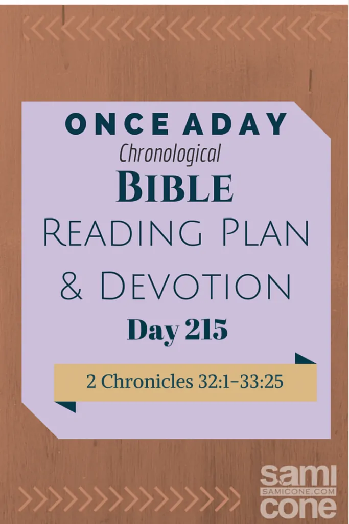 Once A Day Bible Reading Plan & Devotion Day 215