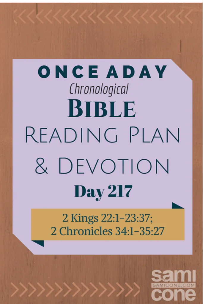 Once A Day Bible Reading Plan & Devotion Day 217