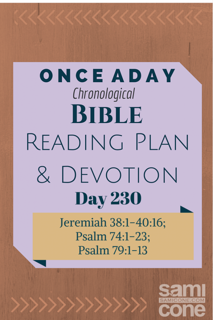Once A Day Bible Reading Plan & Devotion Day 230