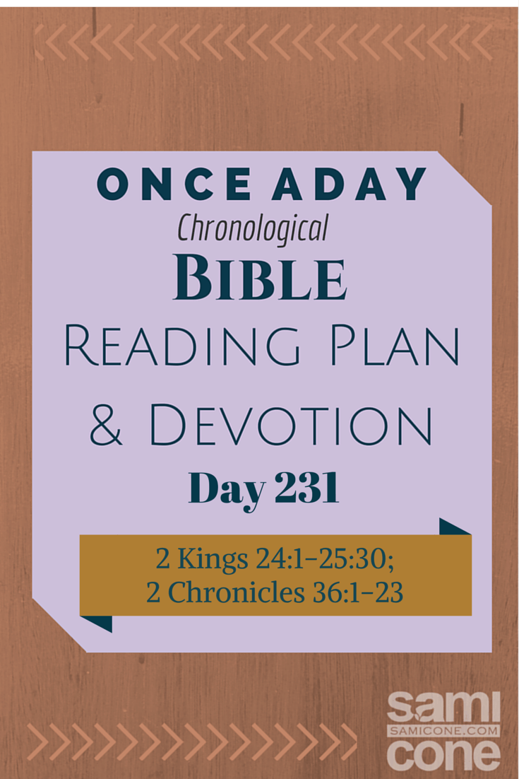 Once A Day Bible Reading Plan & Devotion Day 231