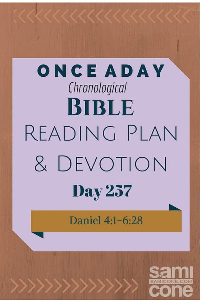 Once A Day Bible Reading Plan & Devotion Day 257