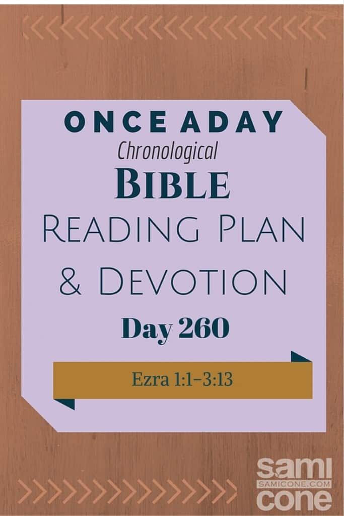 Once A Day Bible Reading Plan & Devotion Day 260