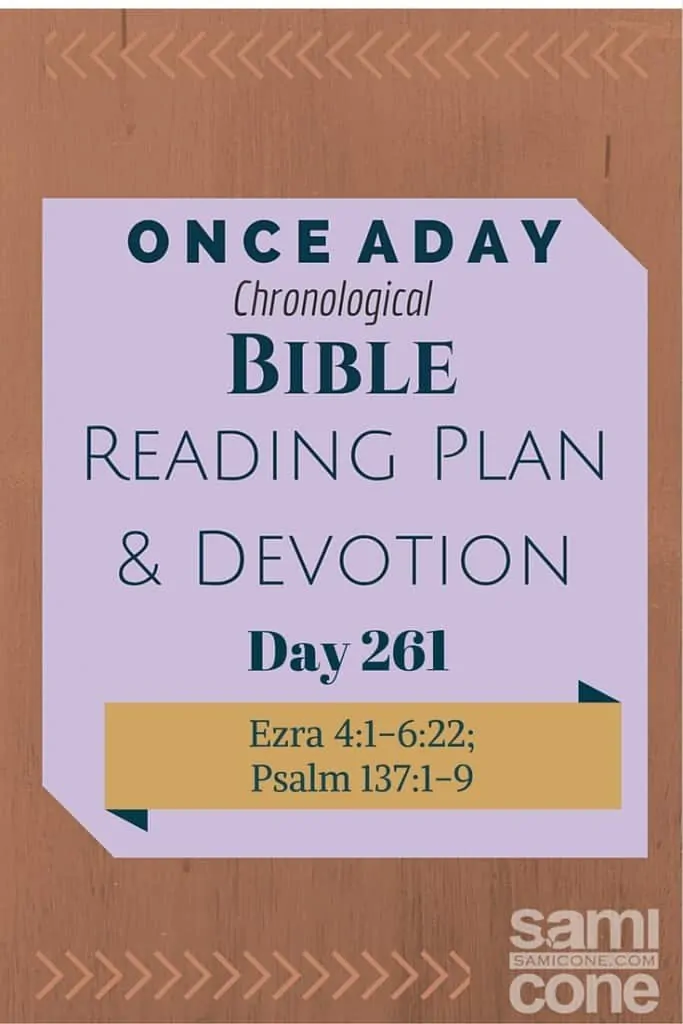 Once A Day Bible Reading Plan & Devotion Day 261