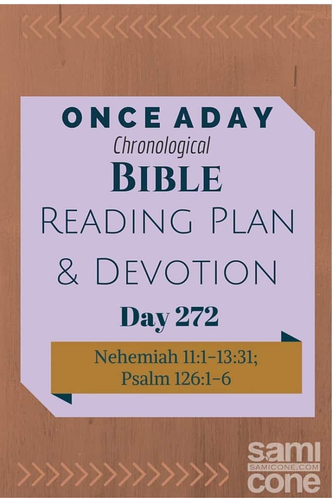Once A Day Bible Reading Plan & Devotion Day 272