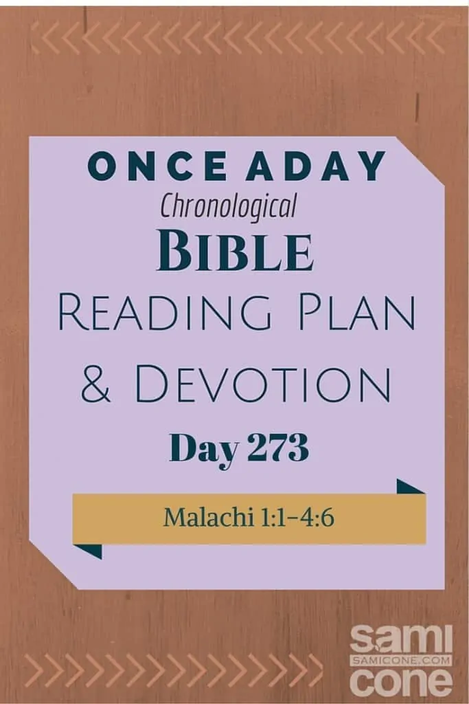 Once A Day Bible Reading Plan & Devotion Day 273