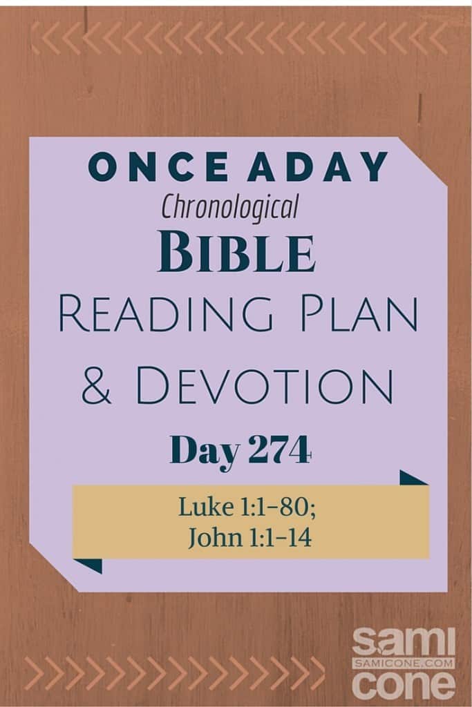 Once A Day Bible Reading Plan & Devotion Day 274